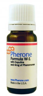 Pheromones.jpg