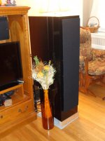 DSC03116.jpg