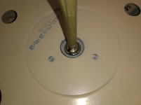 IMG_20190222_134807616.jpg