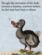 2e9af215d5acd16ff52c6d74c34d9dfc--science-humor-too-funny-2.jpg