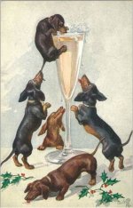 Dachshunds and champagne.jpg