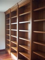 nina-bookcase4.jpg