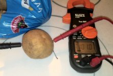 R-of-Potato.jpg