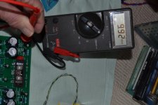 DSC_0448.jpg