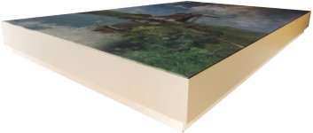 mfb.panel.4.jpg