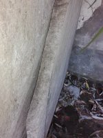 IMG_20190215_100612.jpg