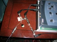 DSCN4938.JPG