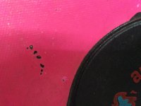 IMG_20190324_014933.jpg