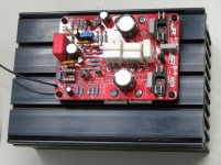 Mooly amp 4.jpg
