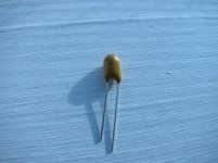 IMG_3343.jpg