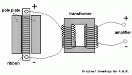 Ribbon & Transformer.gif