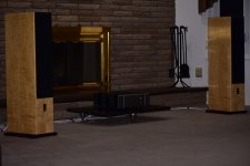 DSC_7833.JPG
