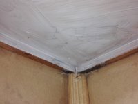 IMG_20190406_150721.jpg