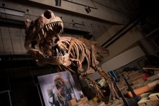 worlds-largest-tyrannosaurus-rex-1.jpg