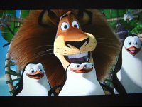 madagaskar.jpg