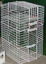cage.jpg