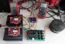 Mooly amp 11.JPG