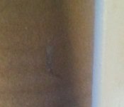 20190217_102200-1-1-1.jpg
