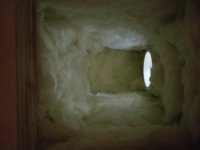 fostexlowerchamber.jpg