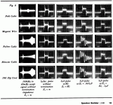 CABLES_P10.gif