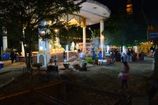 DSC_0310 (Copy).JPG