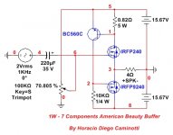 1 W - 7 Components American Beauty Buffer (minor changes).jpg
