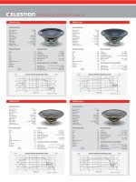 TRUVOX 15_CELESTION PROFESSIONAL COMPONENTS 2005.jpg