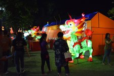 DSC_0078 (Copy).JPG