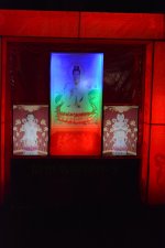 DSC_0083 (Copy).jpg