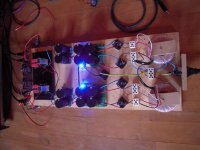BZLS playing with M2X.jpg