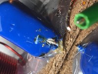 2-way Crossover - Capacitor Leg Missing CLOSE.jpg