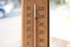 DSC_0474.JPG