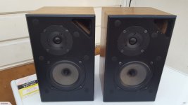 REGA KYTE - FRONT Original.jpg