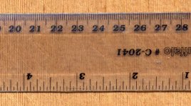 190x-fir-2.jpg