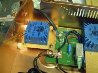 custom ki regs_tx (3).jpg
