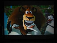 madagaskar.jpg
