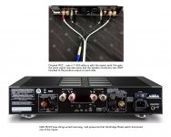 NAD M22 Bridge mode.jpg