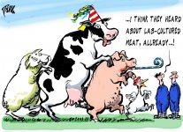 lab-cultured meat.jpg