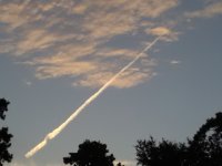 original_20190722_06_47_16_Pro.jpg