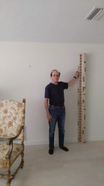 jack with tape up.jpg