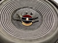 IMG_1640.jpg