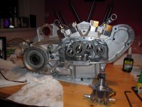 Sportster cams in.jpg