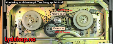 Belts Riemen Set für Tandberg Series 15 Tonband Tape Recorder