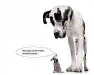 Big-vs-little41.jpg