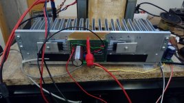 DIY DLH.jpg