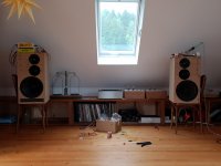 20190824_103011.jpg