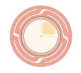 Screenshot 2019-08-11 at 13.41.44.png