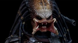 Predator.jpg