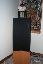 dcp00500.jpg