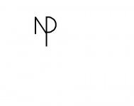 nelsonpassamplogo.bmp.jpg